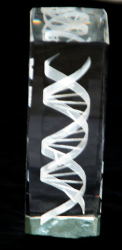 Figura decorativa estatua de cristal DNA 6 pulgadas miniatura 2