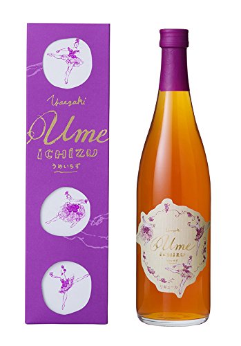 ESHIKOTO  梅酒　限定グラス付き ESHIKOTO梅酒 黒龍酒造石田屋限定商品 720ml 2本セット