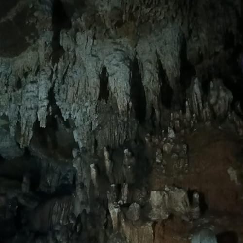 Couverture de The Untold Chhattisgarh Travel Stories