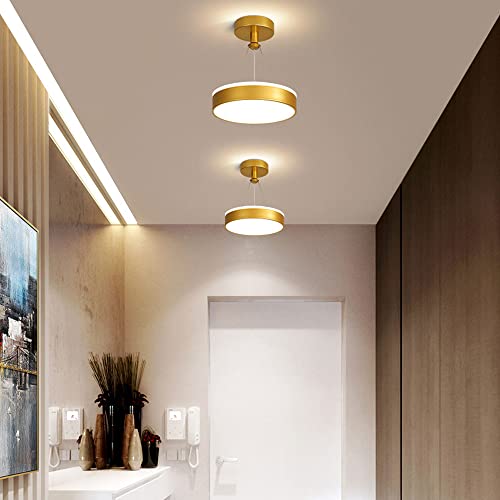 Luces colgantes modernas con aro de metal y panel acrílico LED 3