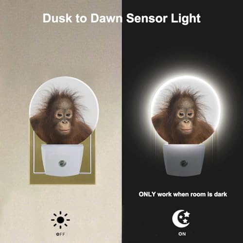 Image of EKOBLA Monkey Night Light, Funny Ape Wildlife Night Lights Plug Into Wall with Dusk to Dawn Sensor, LED Nightlights for Bedroom, Bathroom, Gifts Ideal for Kids Teen Boys Girls Women