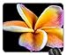 Produktbild Gaming-Mauspads, Mauspad, Blossom Bloom Frangipani Plumeria
