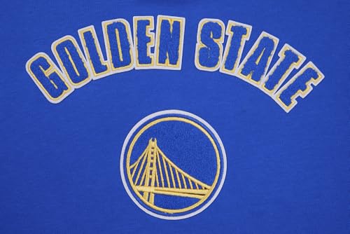 Image of Pro Standard Womens NBA Classic Chenille Pull Over Hoodie
