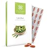 Healthspan Lecithin 1,200mg (2 Months’ Supply) | Beneficial Effect on Fat Digestion & Liver Function | Non-GMO & Natural…