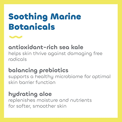Image of Seaweed Bath Co. Everyday Mineral SPF 40 Broad Spectrum Sunscreen Lotion, 3.4 Ounce, Sustainably Harvested Seaweed, Sea Kale, Prebiotics (Pack of 2)