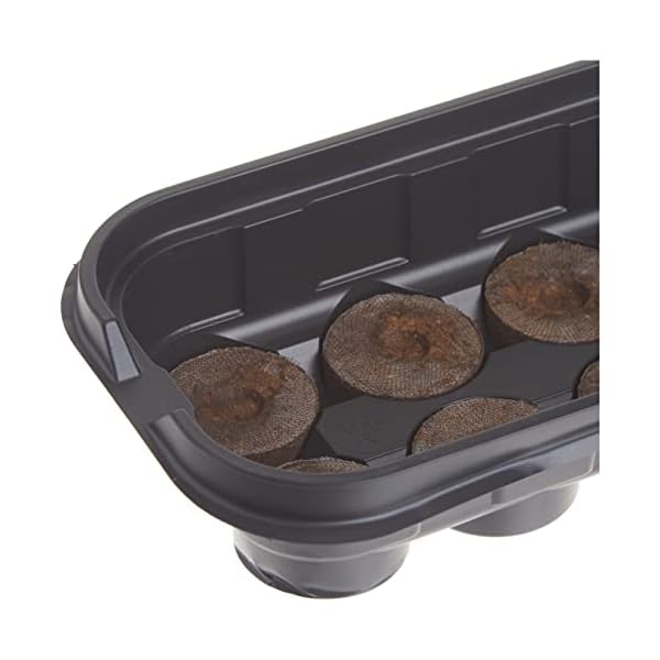 Ferry Morse 100055694 J312 12Pel Wndwsll Greenhouse, Mini, Black with clear dome - Image 6
