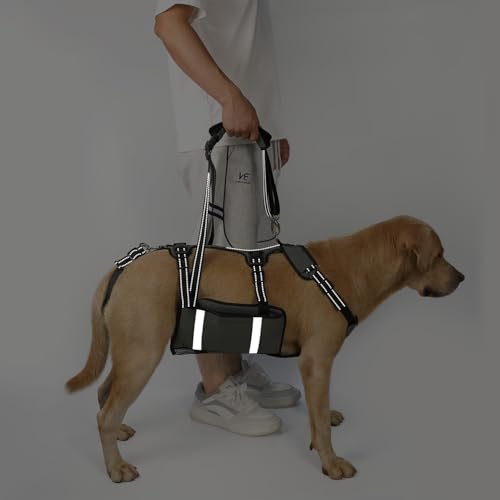 COODEO Mobility Hundegeschirr zum Heben, Notfall-Trageschlaufe, Haustier-Heckbeinstütze, Rehabilitationsweste, Hundetragetasche für ältere Hunde, Gelenkverletzungen, Arthritis (Militärgrün, M)