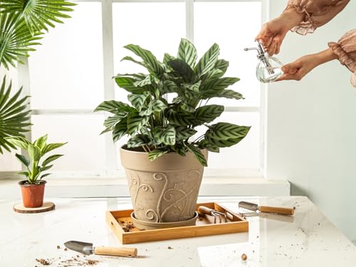 image for Melphoe Plant Pots Indoor with Drainage & Saucer, 2Pack 10 inch Flower