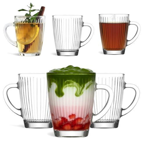 vienberg HESTIA 6er Set Teegläser mit Henkel – Elegante Kaffeegläser mit innenliegendem Rillen-Relief – Bleifreie Glastassen für Matcha, Cappuccino & Tee, Glas mit Griff (250, Milliliter)