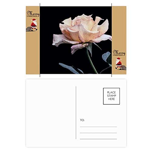 Cartes postales de remerciement Père Noël rose pour partager votre bonheur