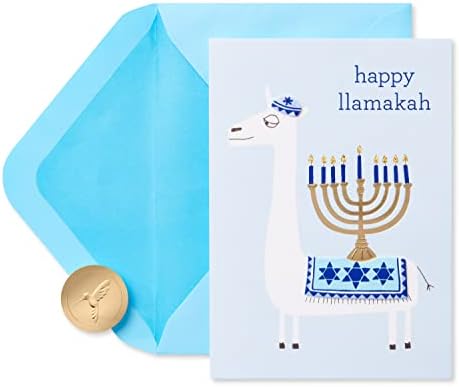 Papyrus Funny Hanukkah Card (Every Fun and Festive Night)