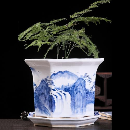 青と白の磁器植木鉢 小さな多肉植物 生きたアジアンインテリア 陶器プランターポット 多肉植物 ガーデニングポット 中国製陶器プランター 植物ポット