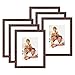 Price comparison product image 8x10 Wood Picture Frames,6 Pack Brown Photo Frame,with High Definition Plexi-glass for Wall Mount or Table Top Display Frame,Set of 6