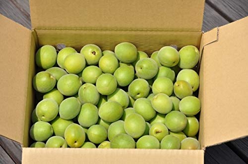 堀内果実園 白加賀 青梅 L2Lサイズ混合