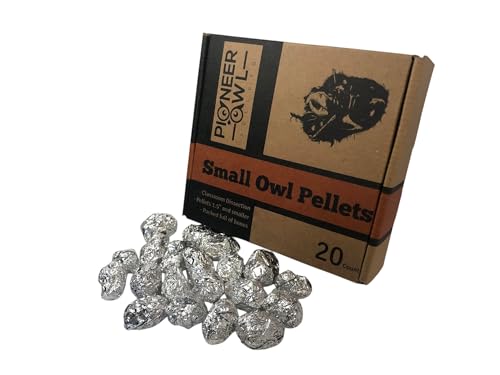 Image of Small Barn Owl Pellets (Pack of 20) Teaching Kit