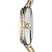 Fossil Women's AM4183 Serena Two-Tone Stainless Steel Watch with Link Bracelet