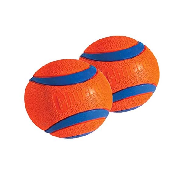 Chuckit! Ball Ultra Ball groß (Set von 2), Hund Fetch Spielzeug