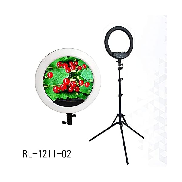 FACAZ Kamera-Foto-Video-Beleuchtungs-Kit Anker-Live-Foto-Aufnahme Led-Ring-Fülllicht Selfie Selfie-Schönheits-Ringlicht… – Bild 6