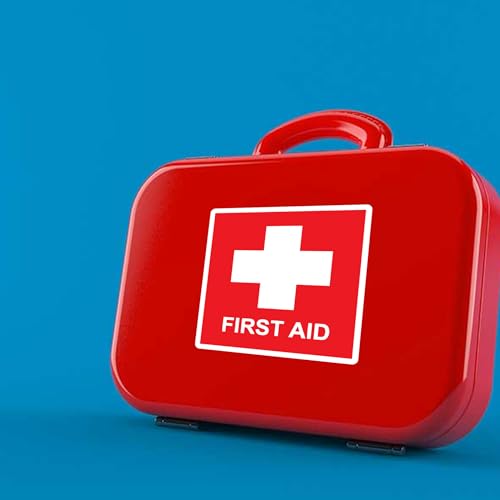 Image of WSQ First Aid Sticker Decal, Emergency 4 x 4 Inches, for Box, Emergency First Aid Kit Signs Water Resistance Multicolor Size 4 Inches 2 Pack