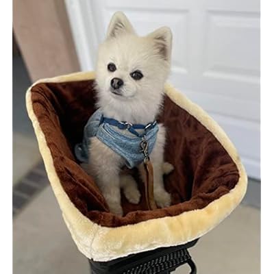 Dog Bike Basket, Rear Mount Bike Dog Carrier Strong Zimbabwe Ubuy