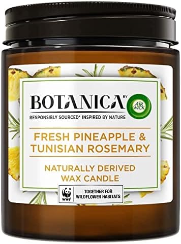 Botanica by AirWick Air Freshener Naturally Derived Wax Candle, MINT & PINK GRAPEFRUIT, Up to 40 Hours Burn Time