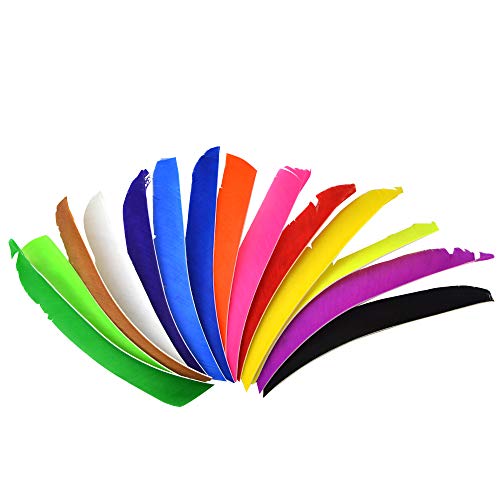 AMEYXGS 50pcs Archery Spiral Twist Wrap Feather Full Length Feathers 7~10  Left Wing Hunting Arrow Turkey Feather for Flu-Flu Arrows (Light Green)
