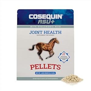 Nutramax Cosequin ASU Plus Joint Health Supplement for Horses – Pellets with Glucosamine, Chondroitin, MSM, ASU, ALA, and Hyaluronic Acid, 1050 Grams