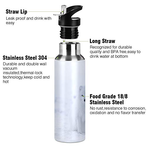 Nander Stainless Steel Water Bottle Snow White Fox Snowfield Vacuum Insulated Sports Water Bottle With Straw For Office Gym Travel Camping School #TOP2
