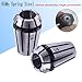 Luo Ke ER11 Spring Collet Nut Set - High Precision ER11 1/4 Inch Collet Chuck + Clamping Nut for CNC Engraving/Lathe Milling Tool