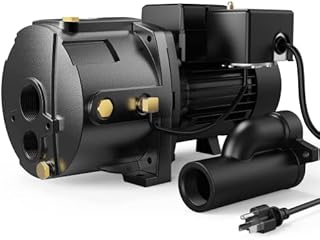 Aquastrong 1HP Shallow/Deep Well Jet Pump, 1554GPH, Cast Iron, Well Depth Up to 25ft/90ft, 115V/230V Dual Voltage, Automatic Pressure Switch