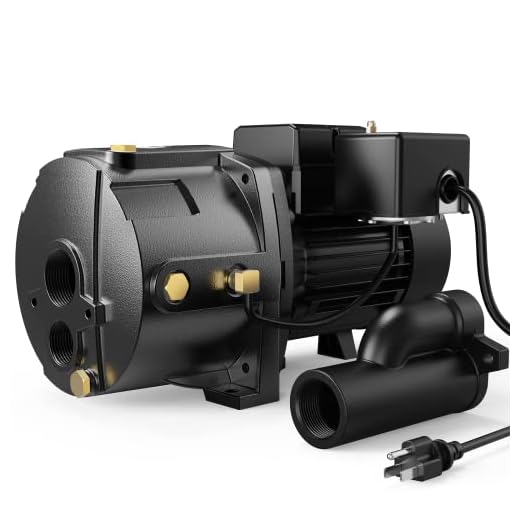 Aquastrong 1HP Shallow/Deep Well Jet Pump, 1554GPH, Cast Iron, Well Depth Up to 25ft/90ft, 115V/230V Dual Voltage, Automatic Pressure Switch