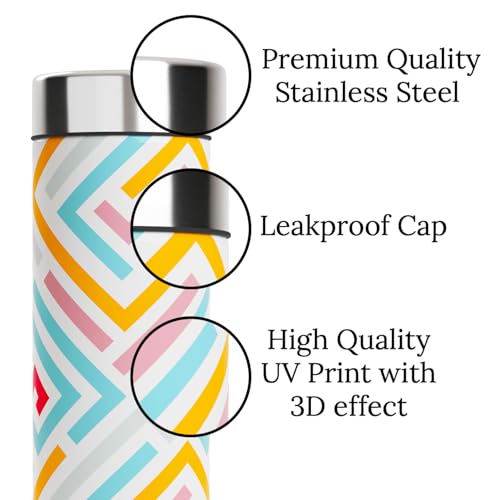 Image of EB-Everything Beautiful 750ml Stainless Steel Cute Water Bottle for School Kids Office Gym Travel Stylish Lightweight Leakproof bottle for Boys Girls Men Women (Modern Art)