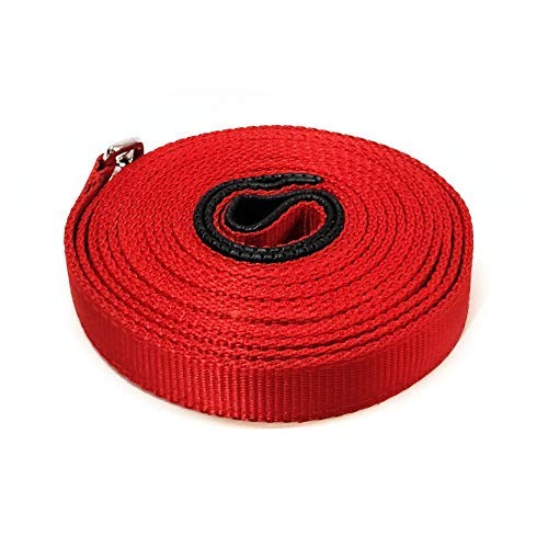 PSK PET MART Tough Nylon Padded Handle 20-Ft Long Dog Leash - Red (B08K7KRZ3M) Amazon Price History, Amazon Price Tracker