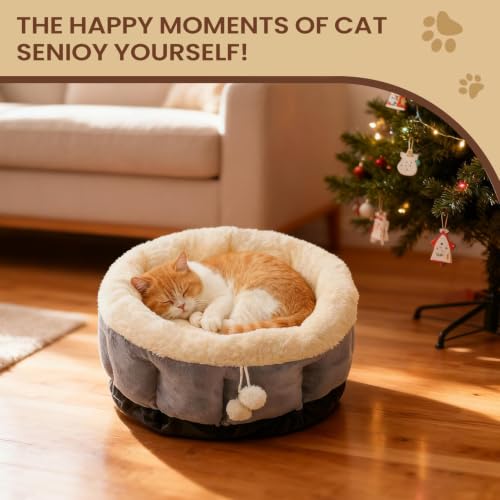 Cama para gatitos cómoda ideal para el balcón o salón de tu apartamento 5