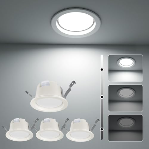 ICHIYO led_ECg 100 SB` V䖄^ hdl  oX[ F 3iK led_ECg5W 500LM ^6H M40` Ɩ Lb`A䏊AցAArOAXAo[AJIP Kp (3