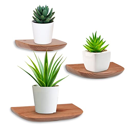 Pyjacos Wandregal Schweberegal 3er Set Wall Shelf hängend kreativ für Schlafzimmer Wohnzimmer Küche und Flur Wolken wandbrett Kleine Größe,Holzmaserung,ABS-Kunststoff,dunkel Cover