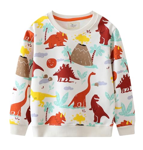 Boys Sweatshirts Casual Sweatshirts Cotton Sweatshirts Long Sleeve T-shirts Crew Neck Cartoon Tops for Boys-708