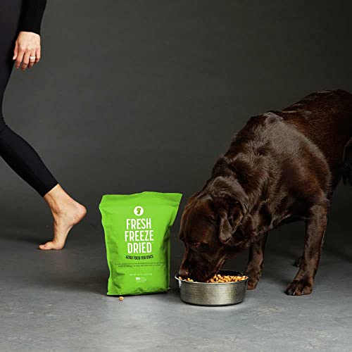 Intestine Well Being Recent Freeze Dried Uncooked Meal Beef Recipe 16 Ounce Bag Canine Meals for Canine of All Breeds and Life Phases Usda Beef Made in Usa  Cucciolini Doodles Intestine well being recent freeze dried uncooked meal beef recipe 16 ounce bag canine meals for canine of all breeds and life phases usda beef made in usa   cucciolini doodles