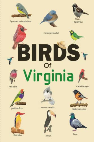 Birds Of Virginia: Bird Watching Practical Log Book For Local Backyard Birders, Bird Sighting Journal, Charming Nature Observation, Gifts for little ... & Bird, Amazing Adventure for Kids And Adults