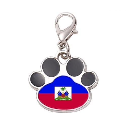 DIYthinker?Haiti National Flag North America Country Pet Tag Keychain Dog Cat ID