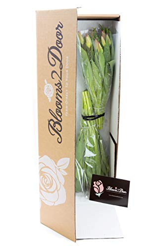 Blooms2Door KBDF1220-V999-A999 Prime Next Day Delivery - Fall Collection - 20 Red Tulips. Gift For Birthday, Sympathy, Anniversary, Get Well, Thank You, Valentine, Mother’S Day Fresh Flowers thumb #1