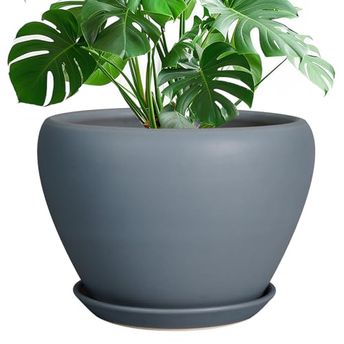 Ceramicfor 10 Inch Plant Pot, Ceramic Planter, Matte Gray