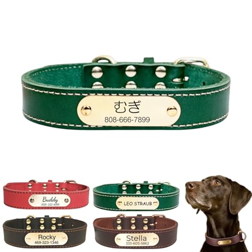 qDt  O dbԍ \ qh~  l[v[g t {v L ybgp ^ ^ ^  x[VbN y ʋC v[g Mtg