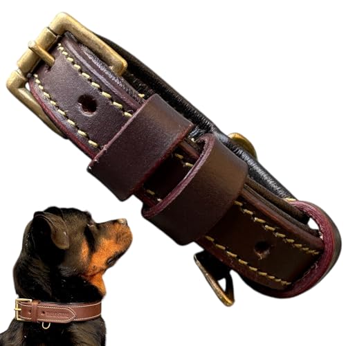 Image of 100% Highgrade Leather Colored Dog Collar for Neck with Brass Accesories in Extra for Dogs.Neck Collar for Dogs (Chocolate Brown, Size Neck - Small (11.5-14.5 Inch))
