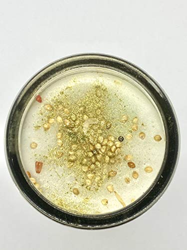 AzureGreen CP1REV Reversible Pillar Candle44; 9 in.