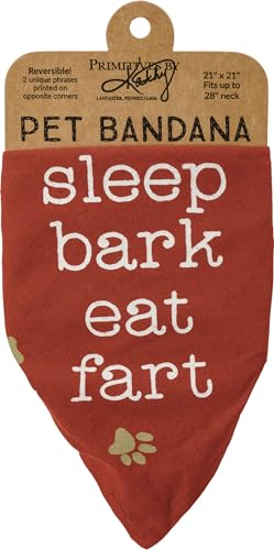 Primitives by Kathy Bandana reversible para mascotas, con texto en inglés 'I Chase Taco Trucks and Sleep Bark Eat Fart, 21 x 21 pulgadas, grande