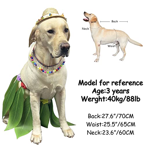 Disfraz de verano hawaiano 3 piezas para perros grandes miniatura 5