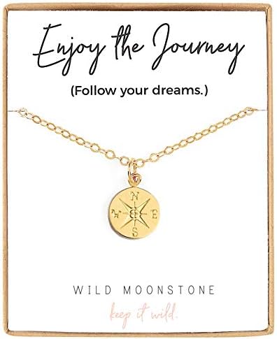 Wild Moonstone Compass Pendant Necklace, Graduation Gift for Her, Best Friend - 14k Gold Filled, 18"