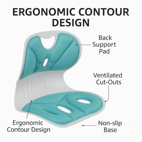 Image of Flygon Lower Back Support Chair Posture Corrector for Kids & Adults - Ergonomic Cushion for Floor Seats & Office - Multicolor - Orthopedic Body Positioner with Lumbar Support