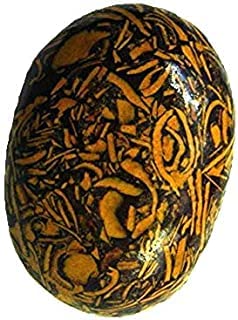 Gemme minérale Mariyam fossile naturelle 10.25 cts cabochon de lithothérapie non traité
